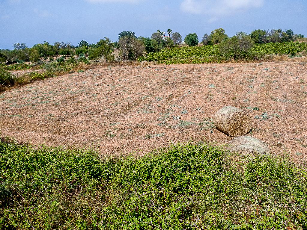 Field-Kathikas-PR46388