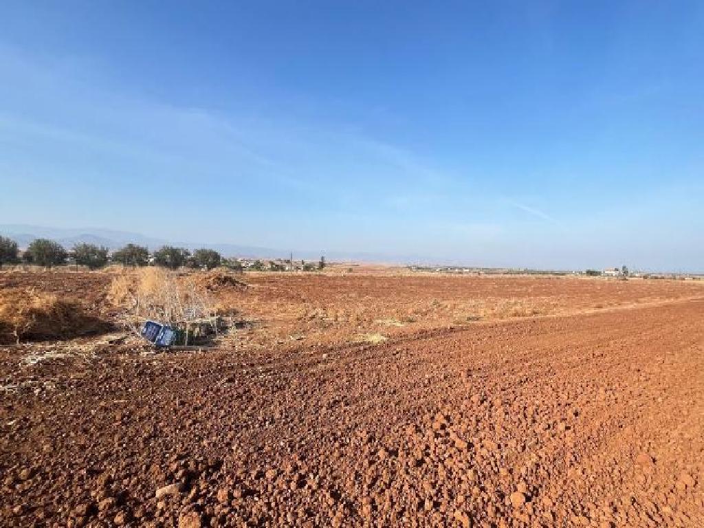 Field - Astromeritis, Nicosia