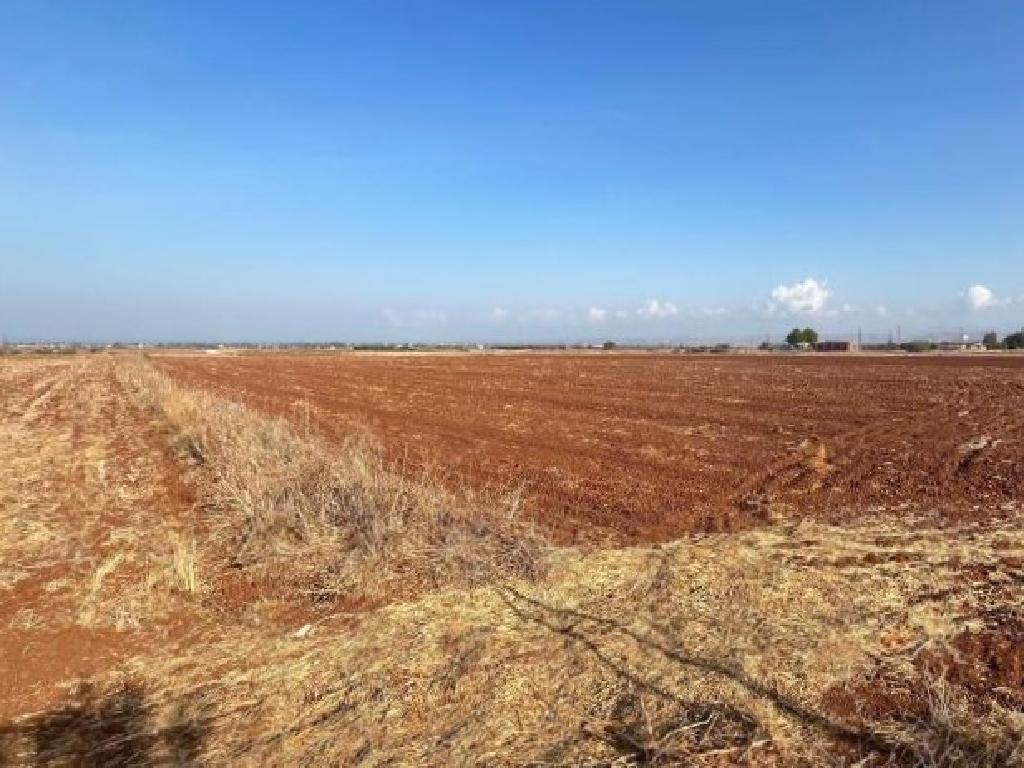 Field - Astromeritis, Nicosia