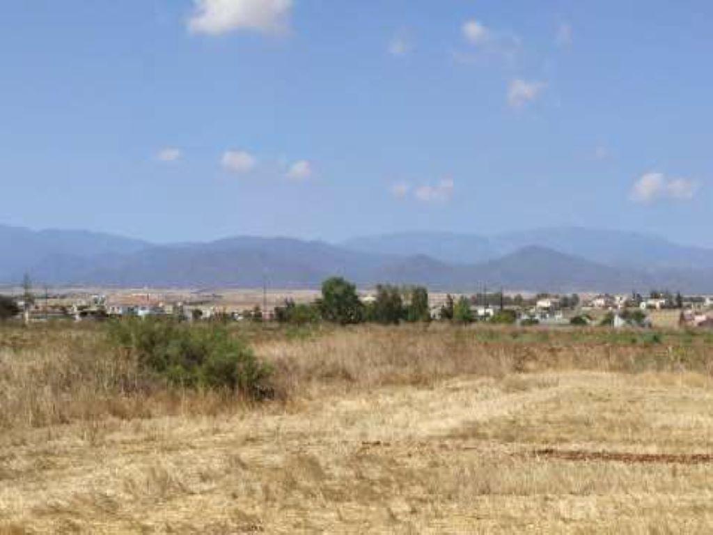 Field - Astromeritis, Nicosia