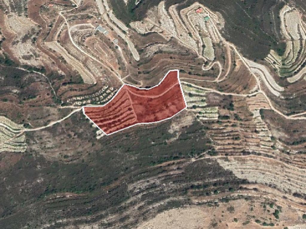 Field-Pachna-PR12392