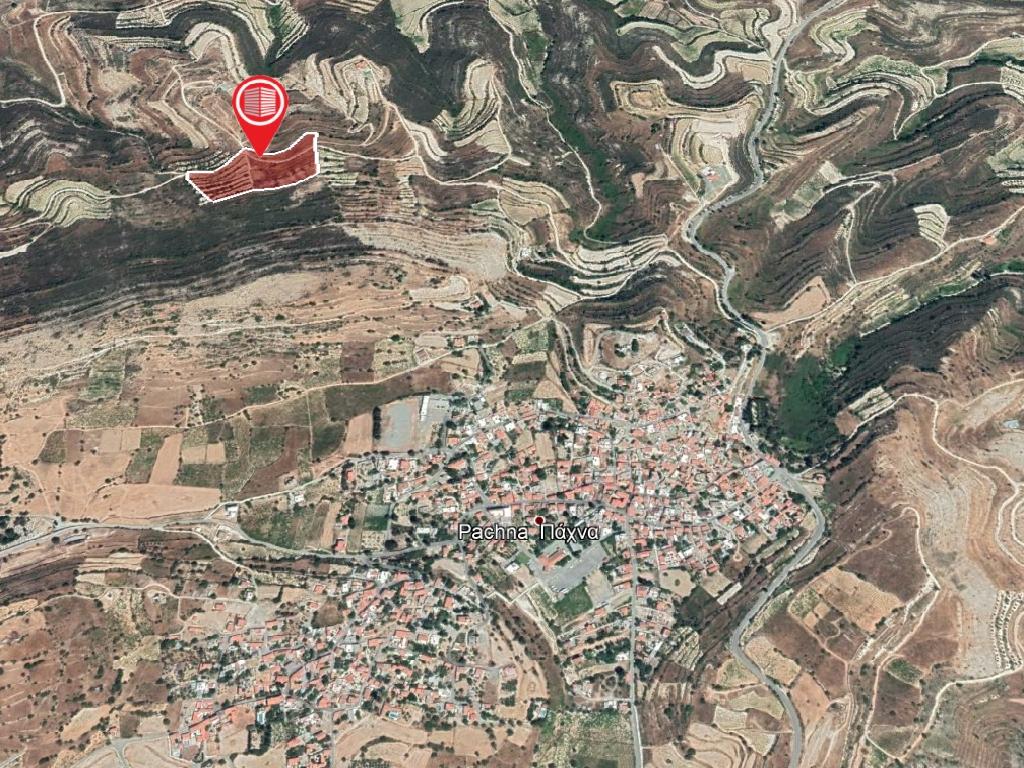 Field-Pachna-PR12392