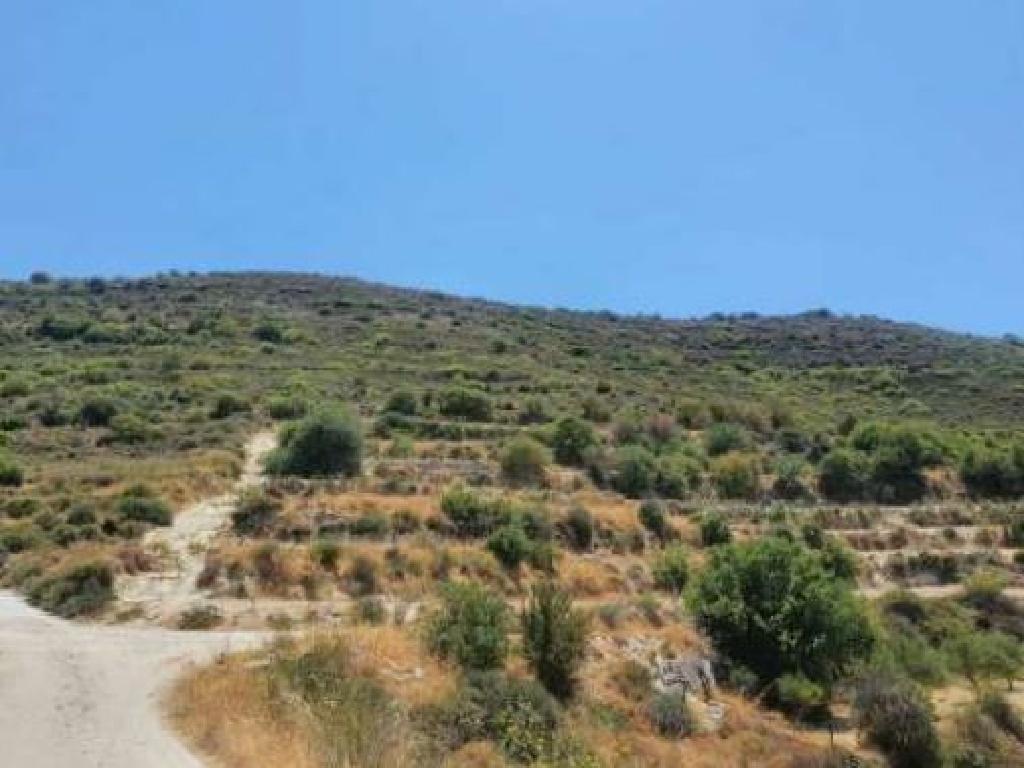 Field-Pachna-PR12392