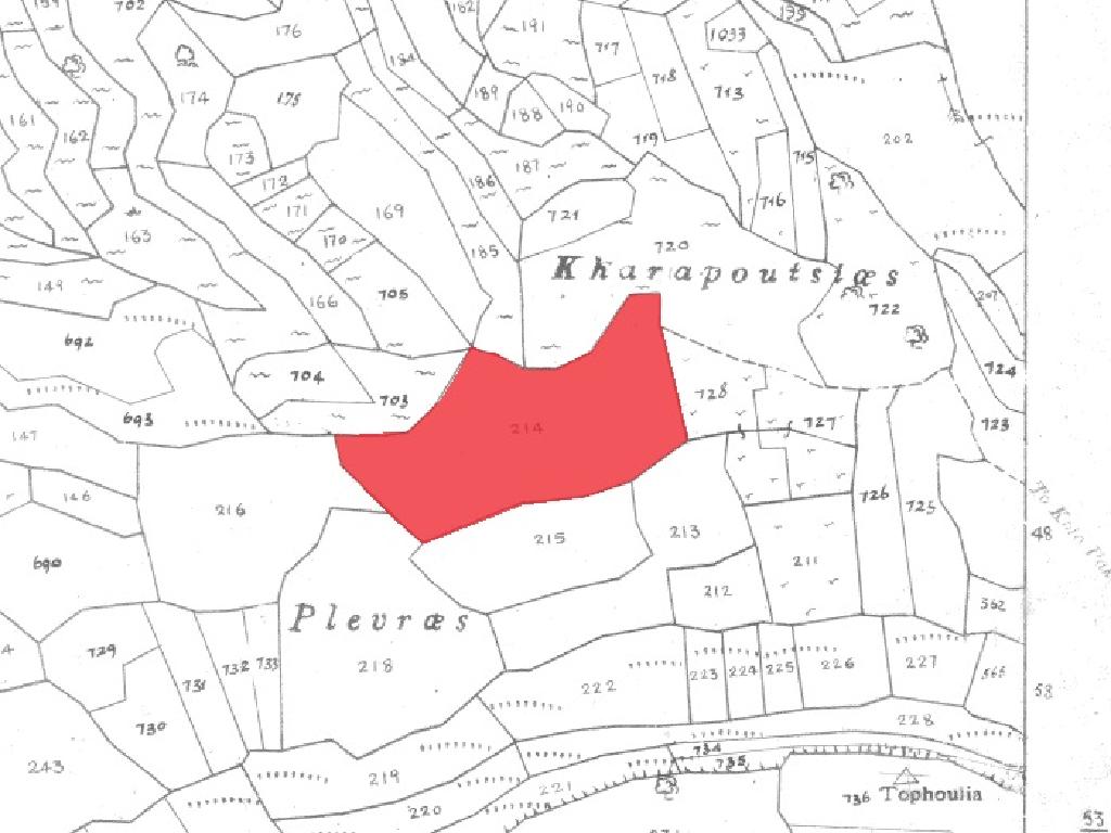 Field-Pachna-PR12392