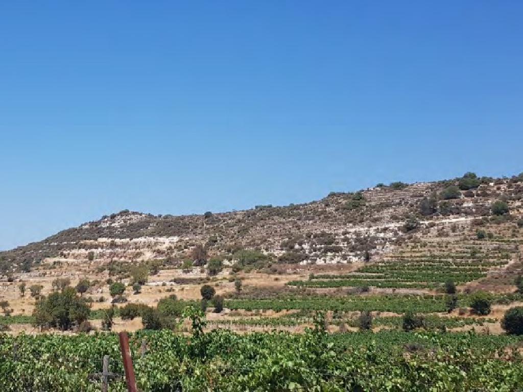 Field (Share) - Pachna, Limassol