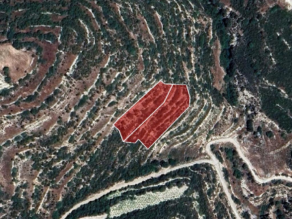 Field-Koilani-PR15267