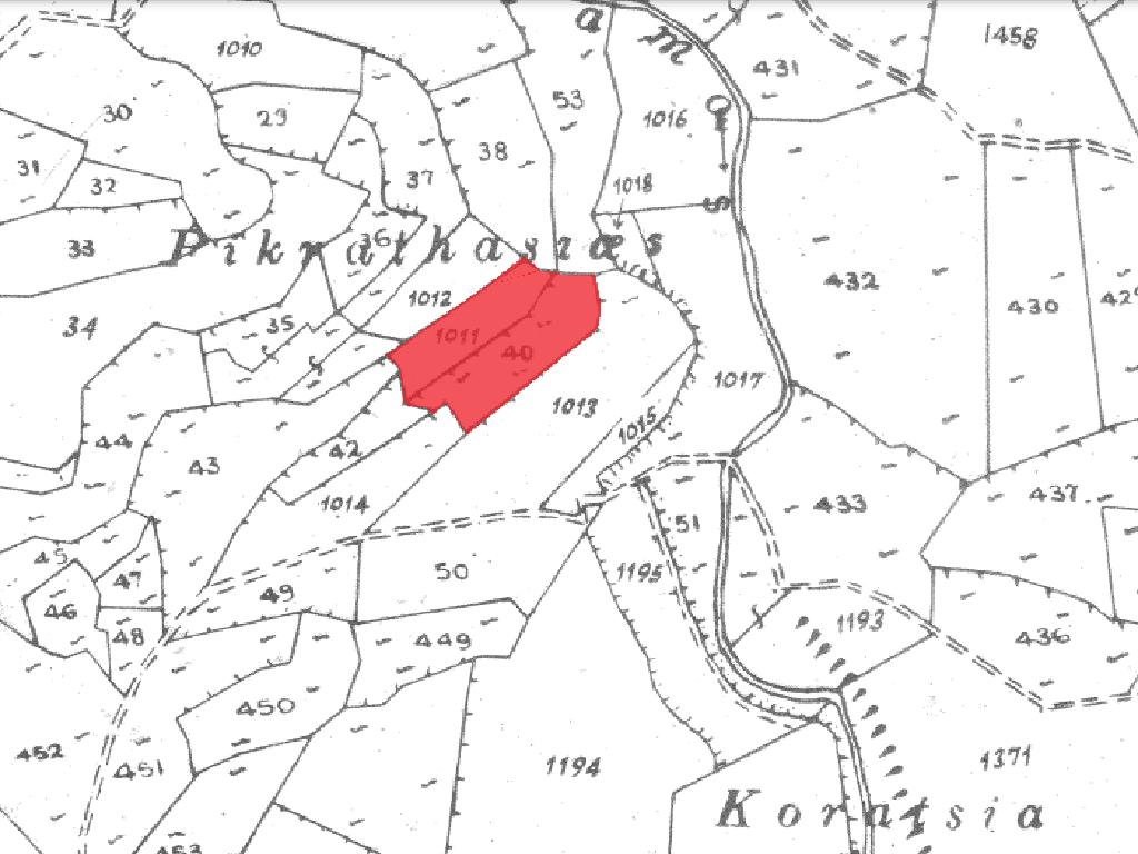 Field-Koilani-PR15267
