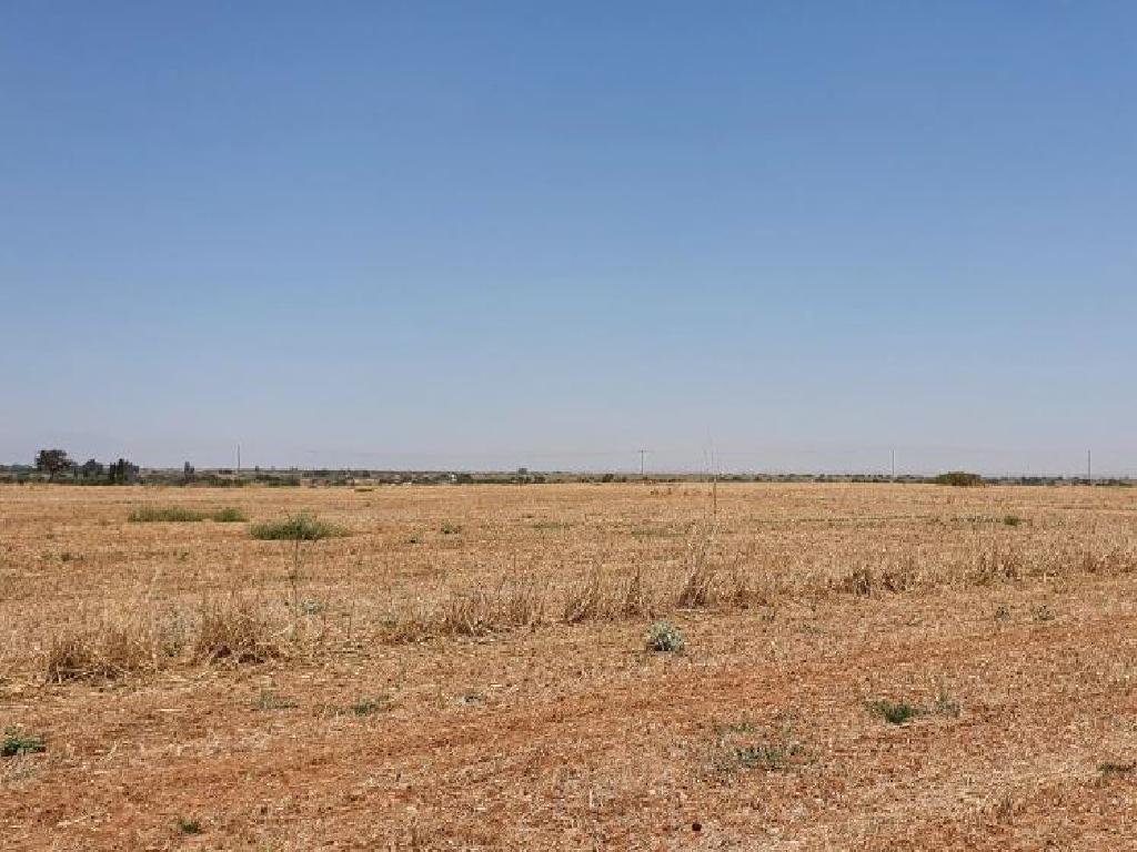 Field-Avgorou-PR14032