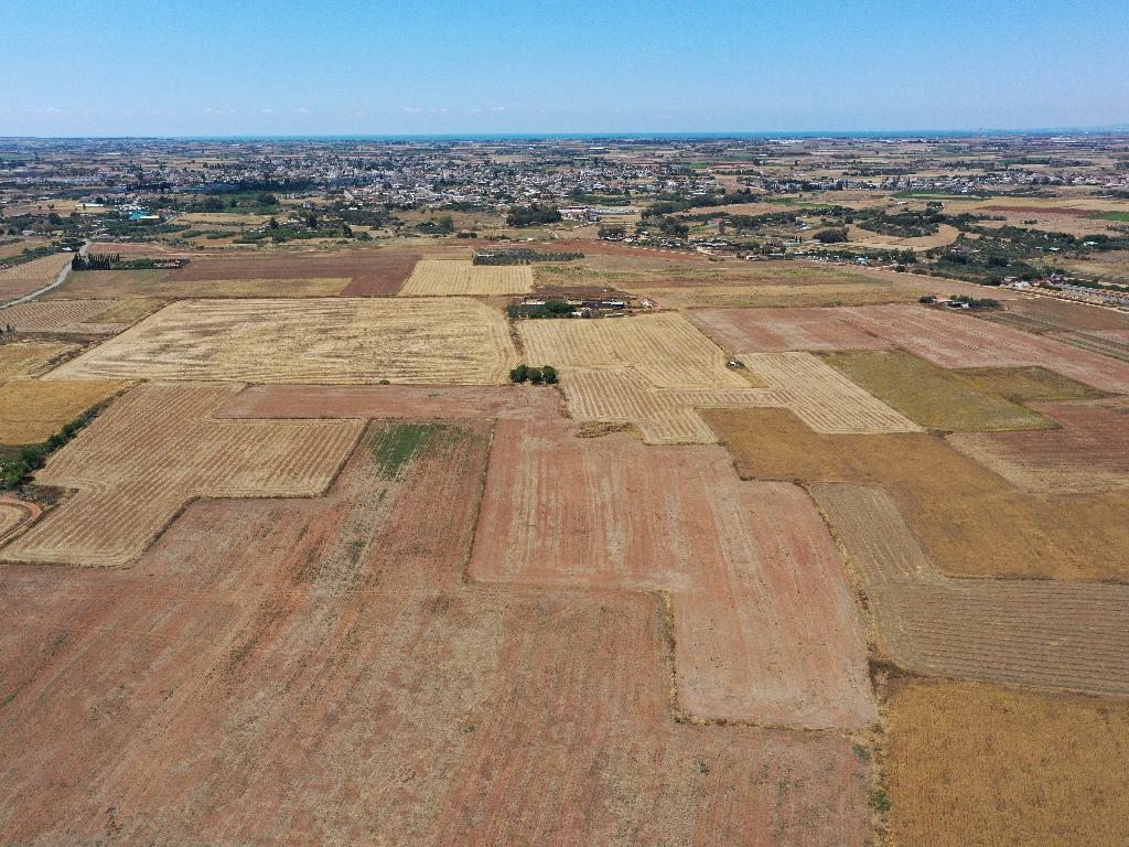 Field-Avgorou-PR14032