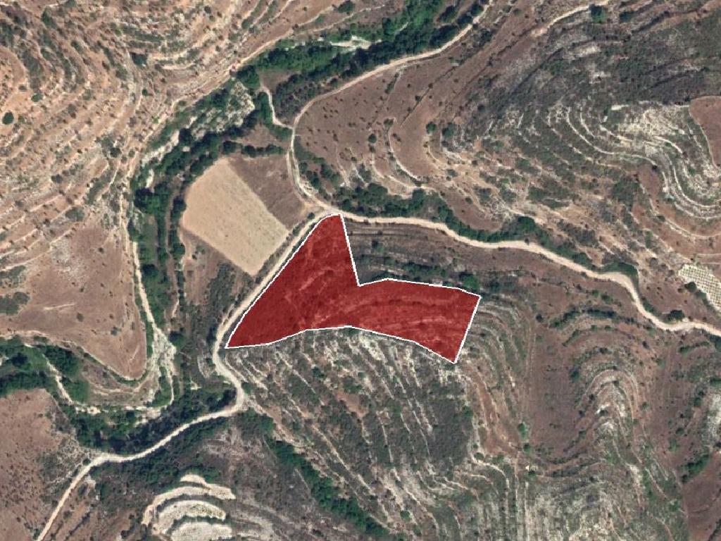 Field-Pachna-PR32797