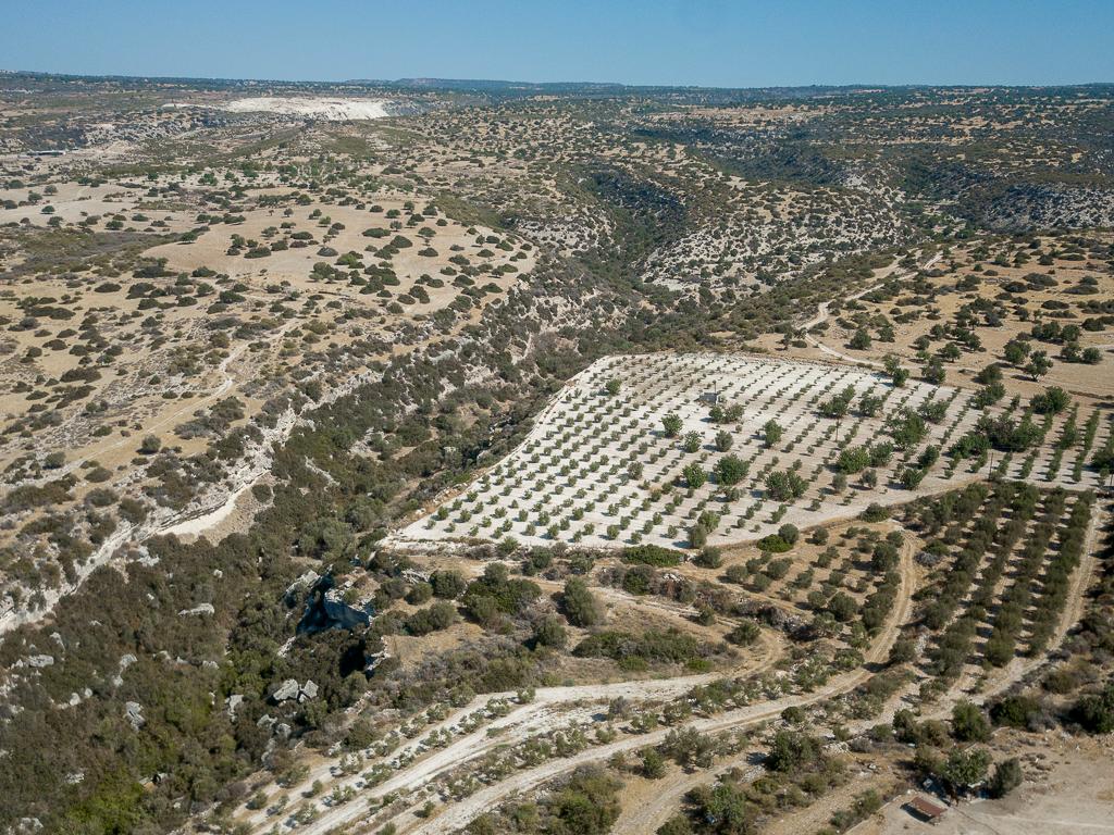 Field-Avdimou-PR32915