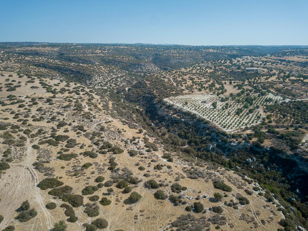 Field-Avdimou-PR32915