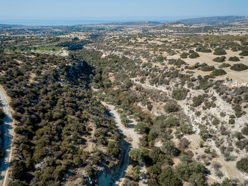 Field-Avdimou-PR32915