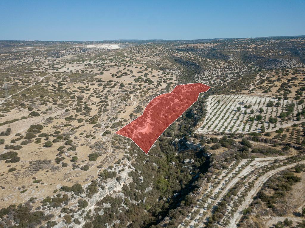 Field-Avdimou-PR32915