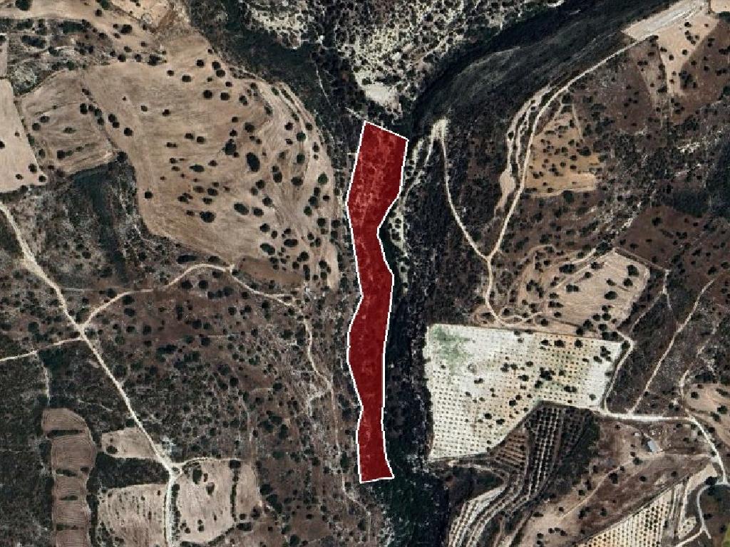 Field-Avdimou-PR32915