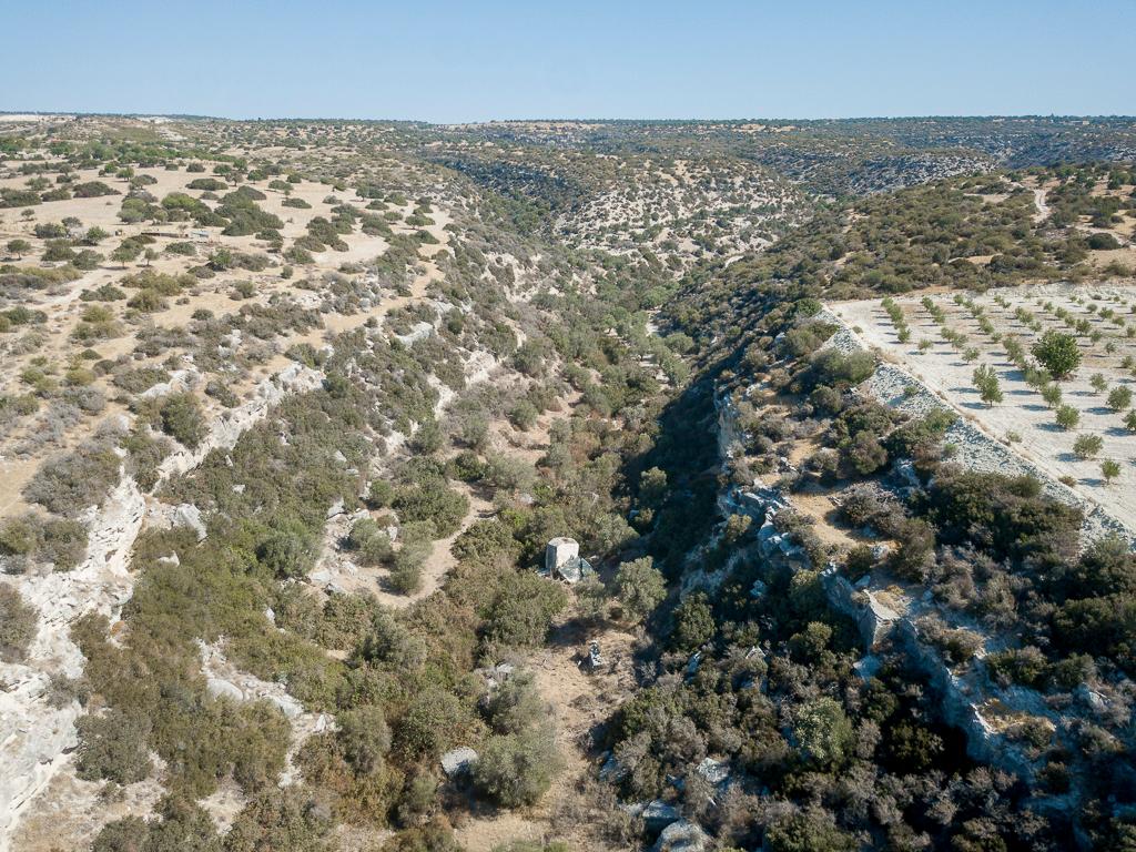 Field-Avdimou-PR32915