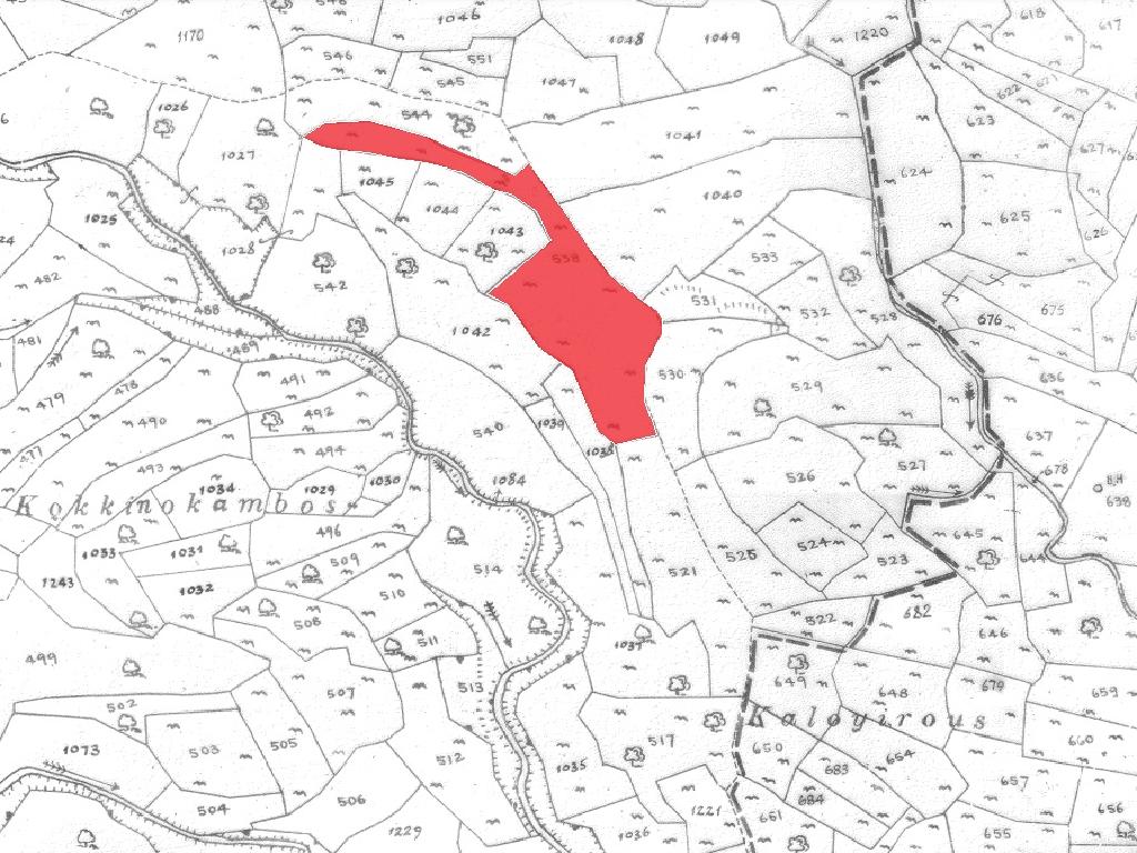 Field-Pachna-PR34280