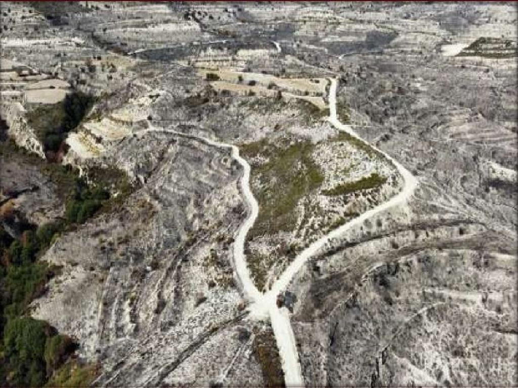 Field - Pachna, Limassol