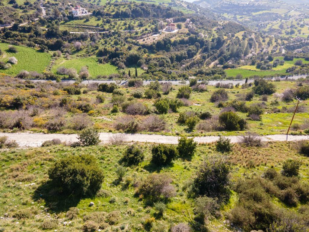 Field-Peristerona-PR34648