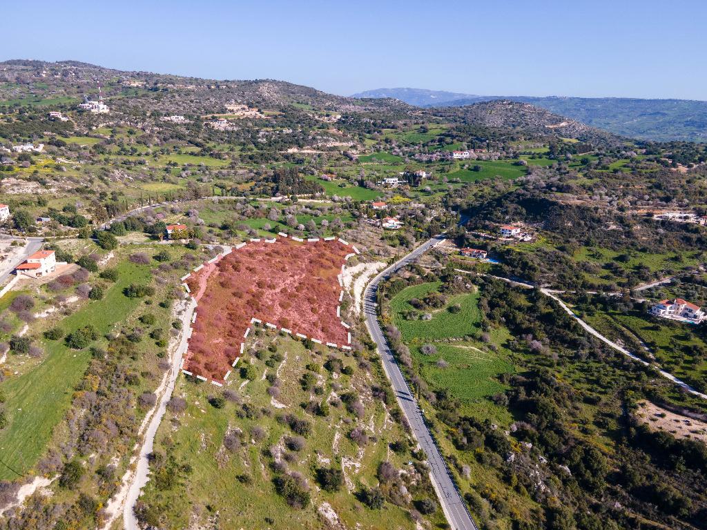 Field-Peristerona-PR34648