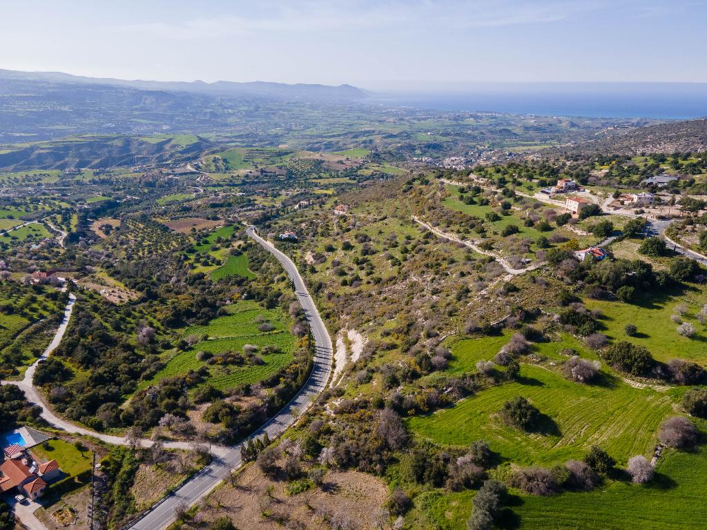 Field-Peristerona-PR34648