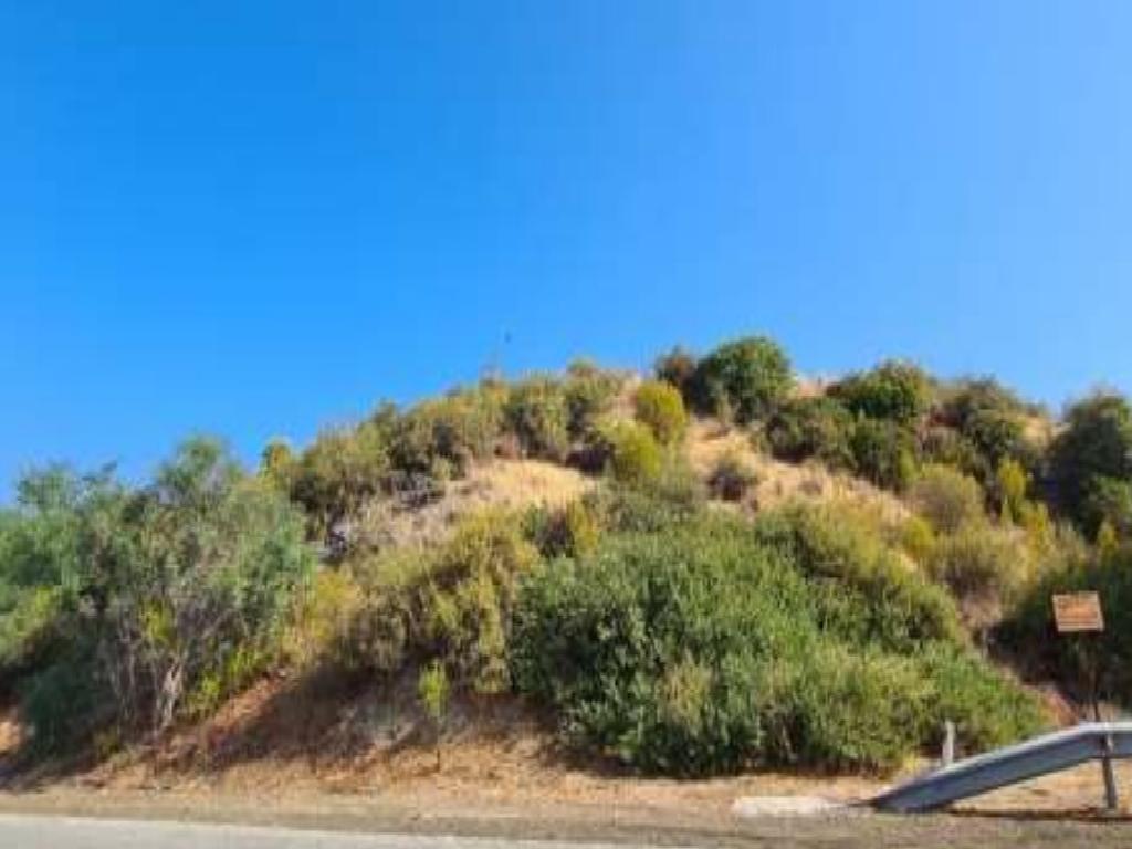Field-Kato Pyrgos-PR38575