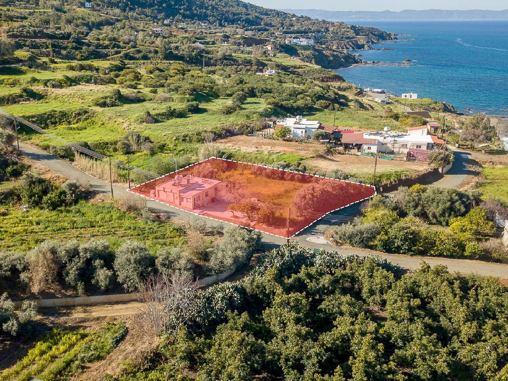 Field-Pomos-PR39434