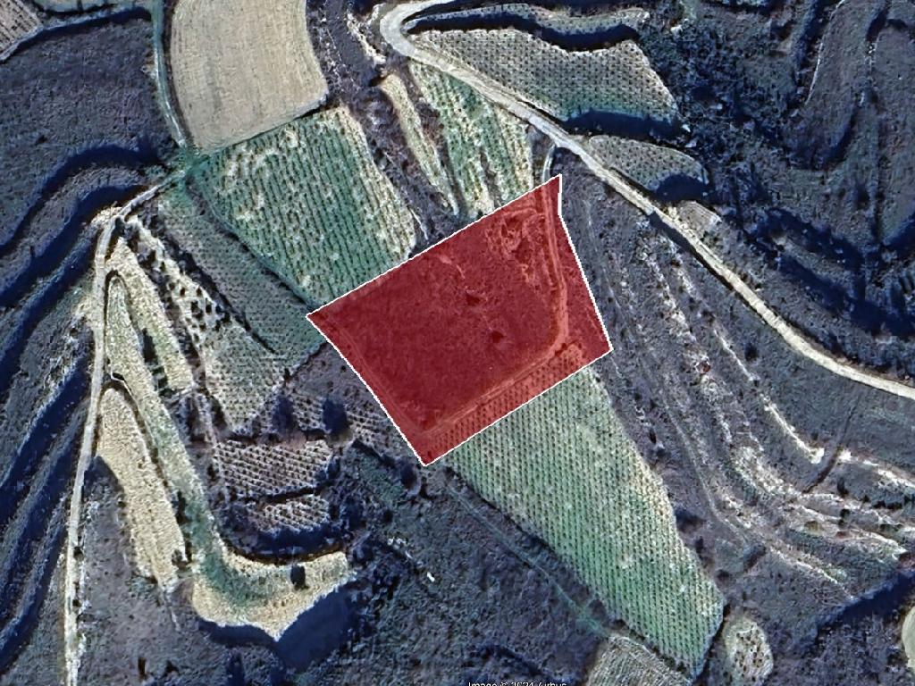Field-Pachna-PR40314