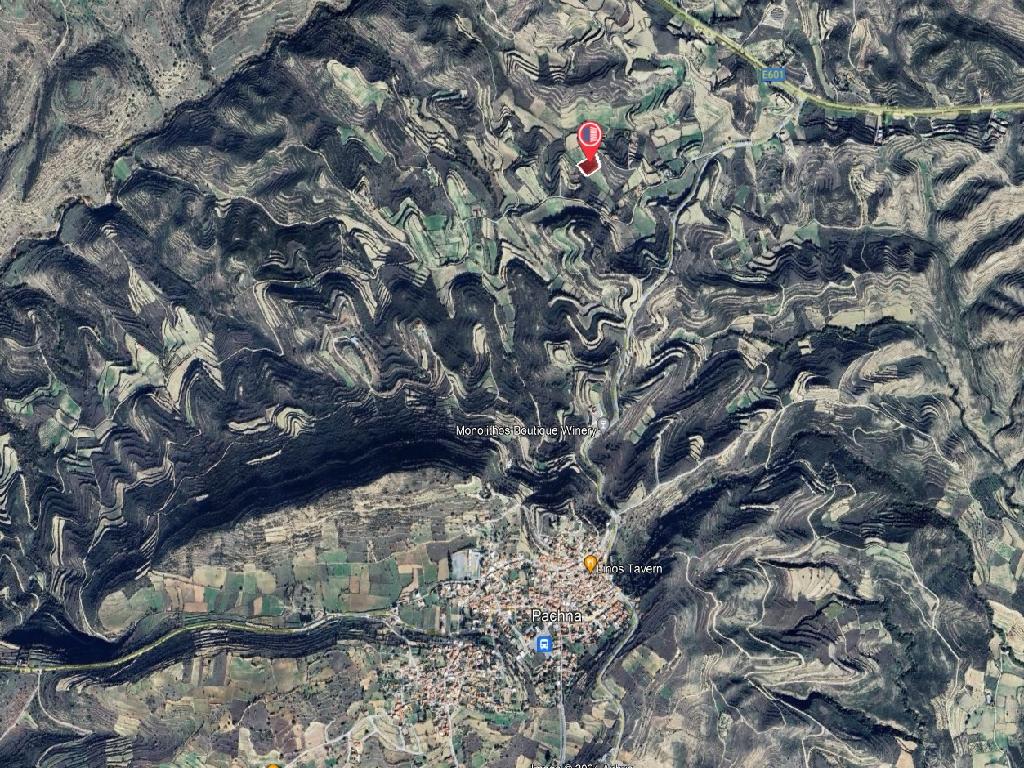 Field-Pachna-PR40314