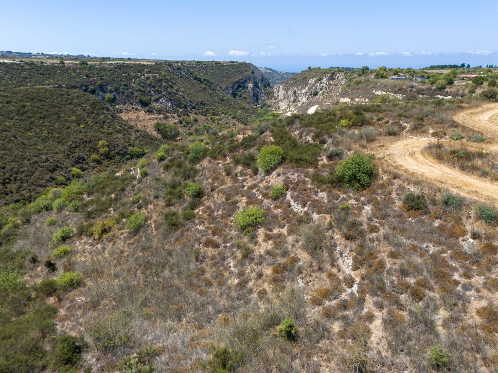 Field-Pano Arodes-PR40950