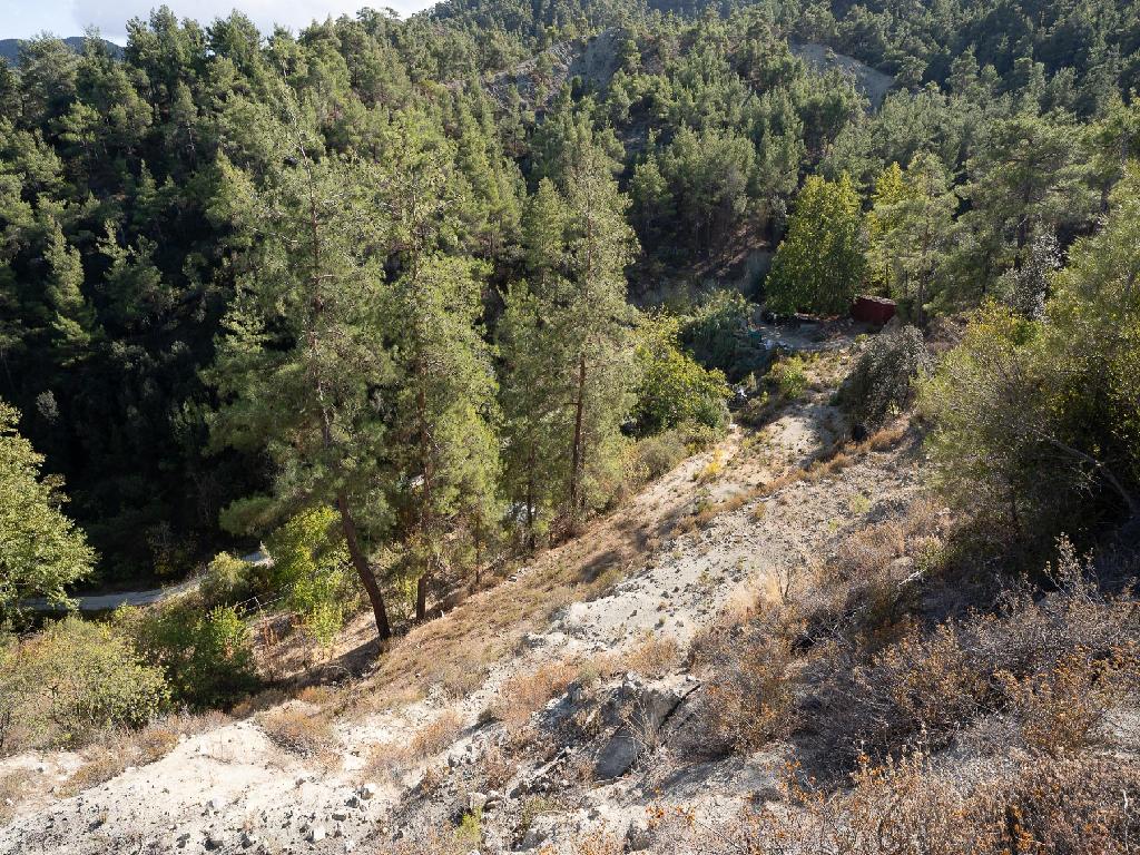 Field-Kakopetria-PR41252