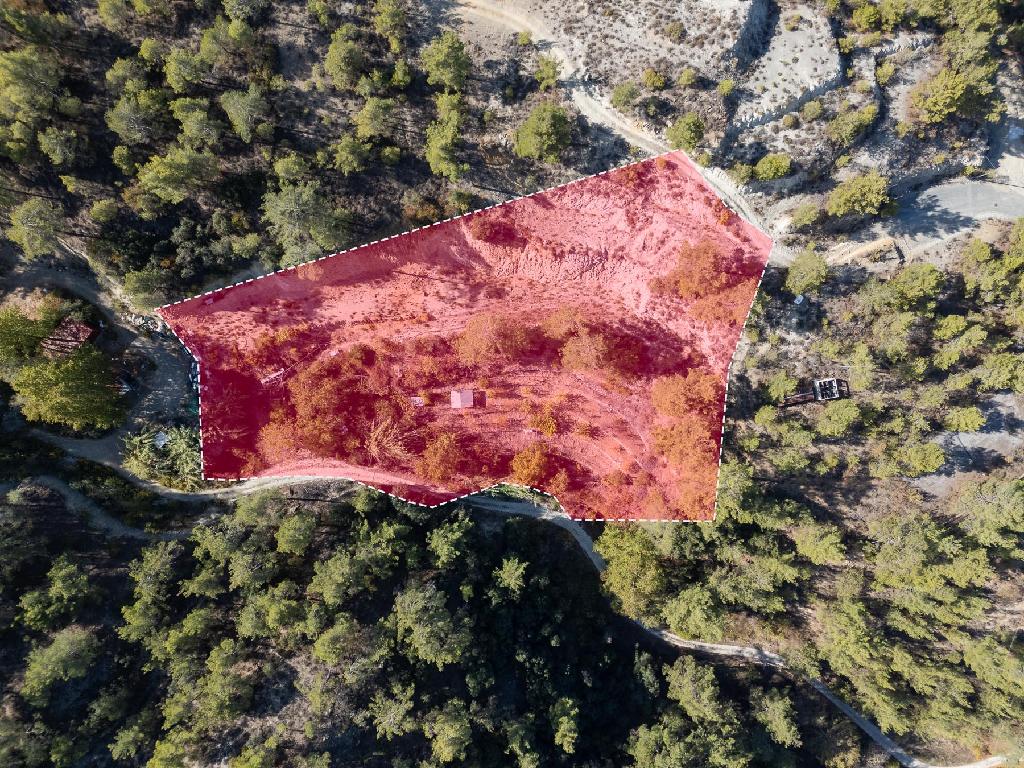 Field-Kakopetria-PR41252