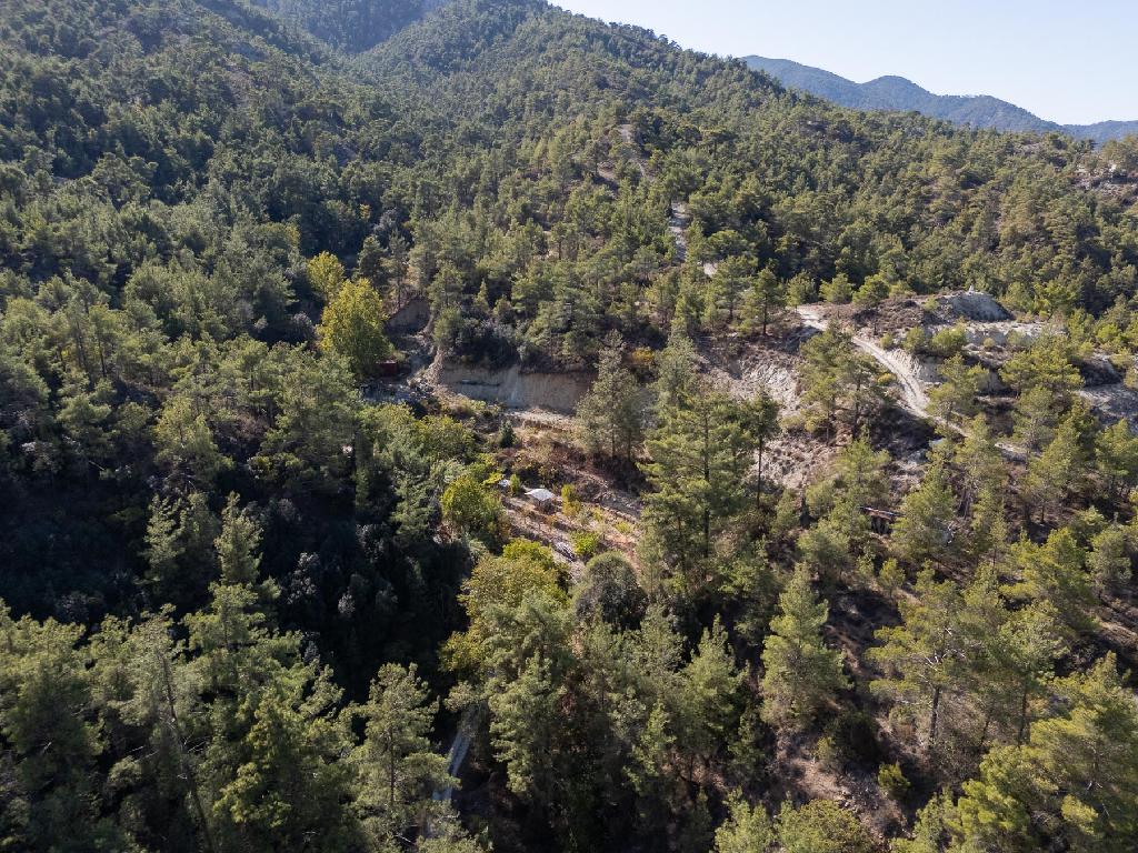 Field-Kakopetria-PR41252