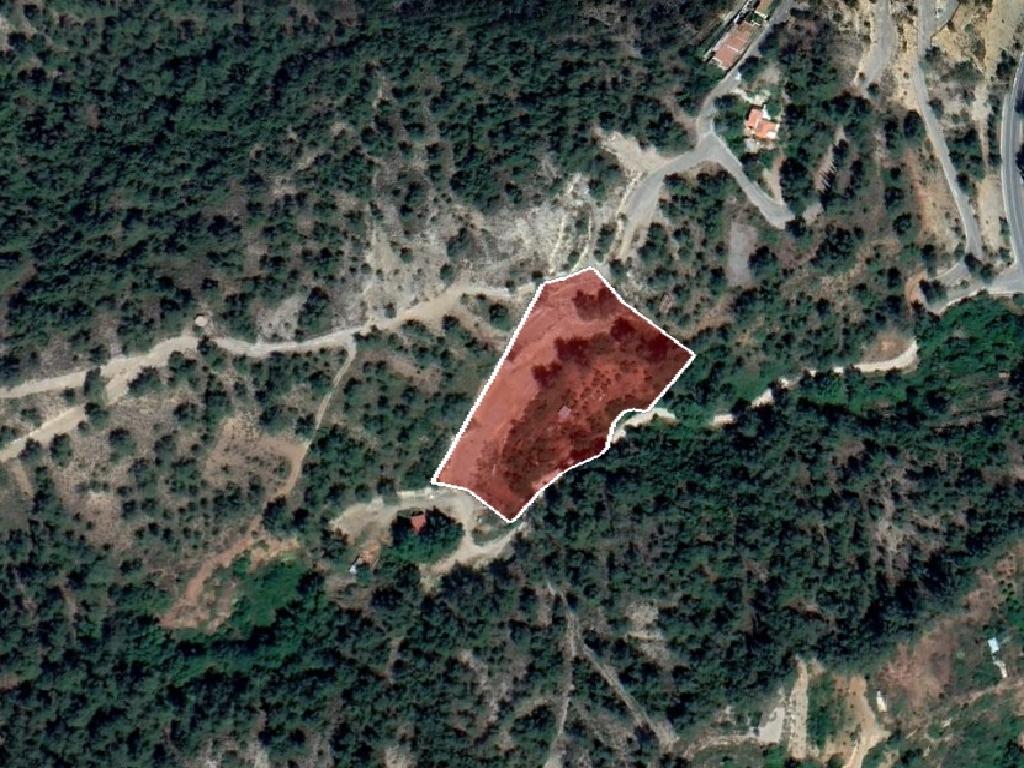 Field-Kakopetria-PR41252