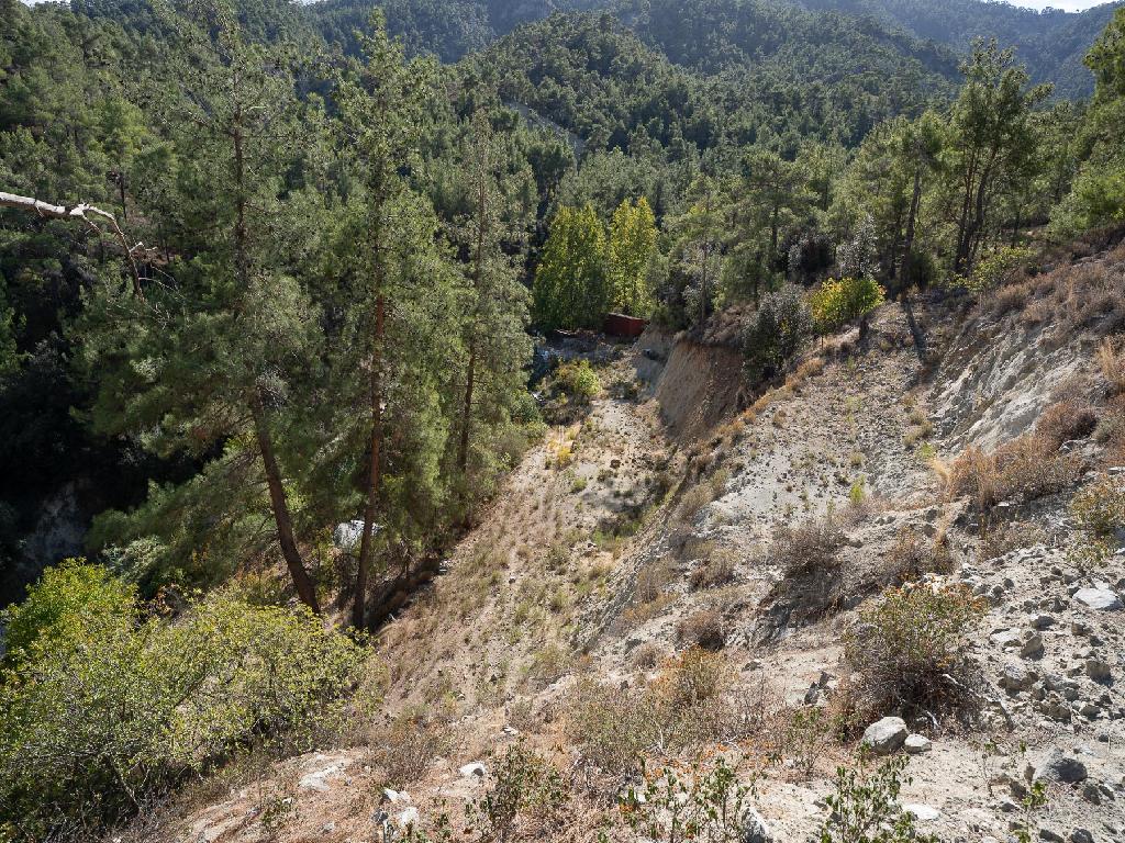 Field-Kakopetria-PR41252