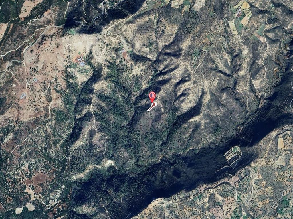 Field-Dora-PR41488