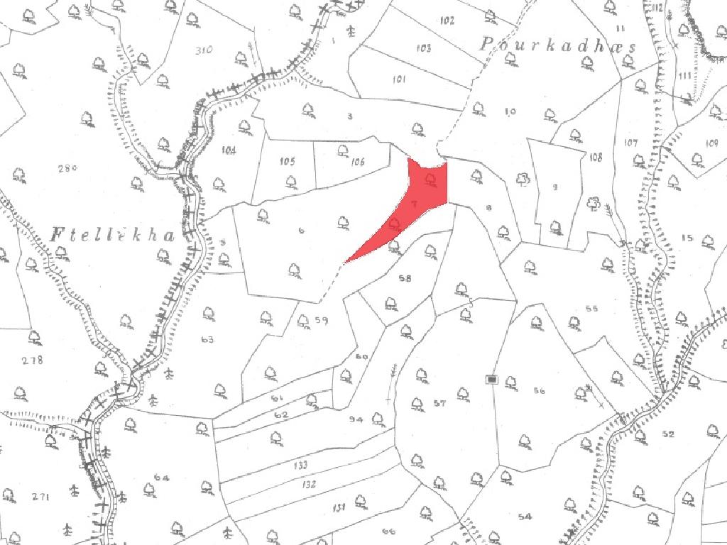 Field-Dora-PR41488