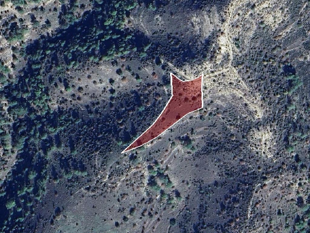 Field-Dora-PR41488
