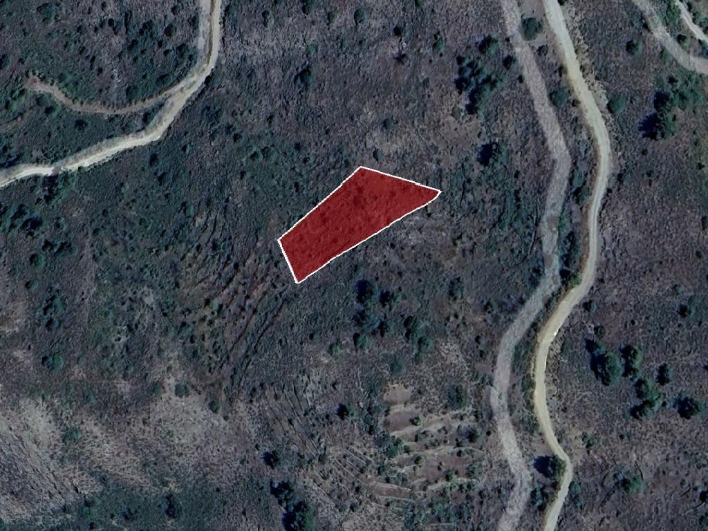 Field-Platanistasa-PR42406
