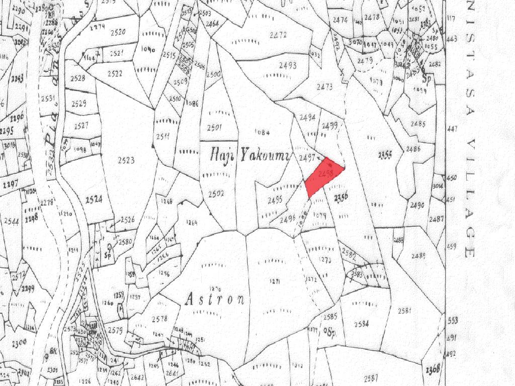 Field-Platanistasa-PR42406