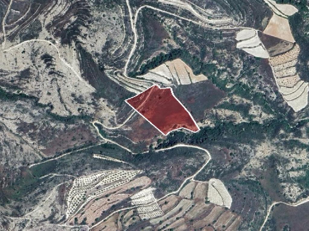Field-Pachna-PR43075