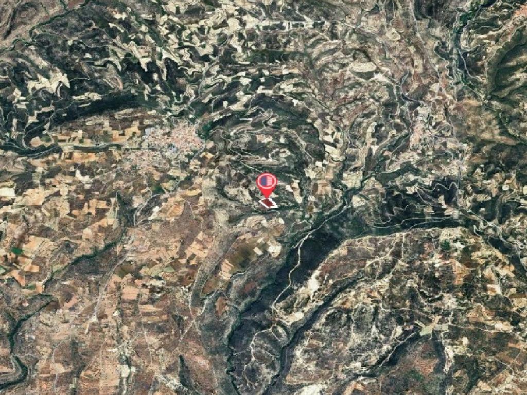 Field-Pachna-PR43075