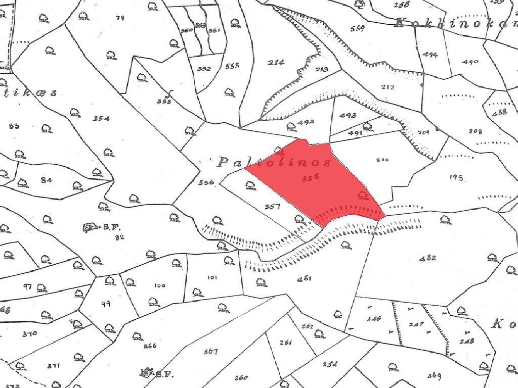Field-Pachna-PR43075
