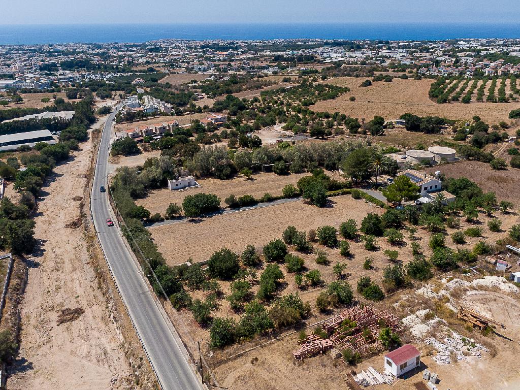 Field (Share) - Mesa Chorio, Paphos