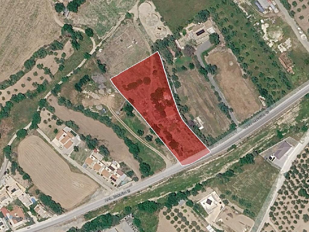 Field (Share) - Mesa Chorio, Paphos