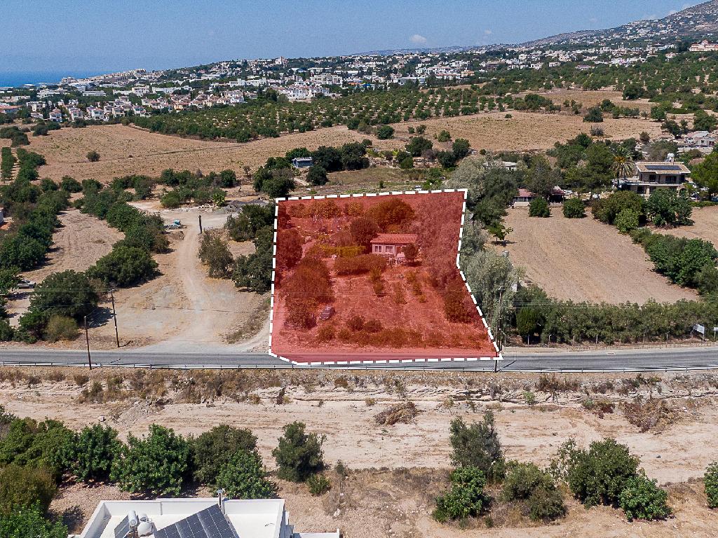 Field (Share) - Mesa Chorio, Paphos
