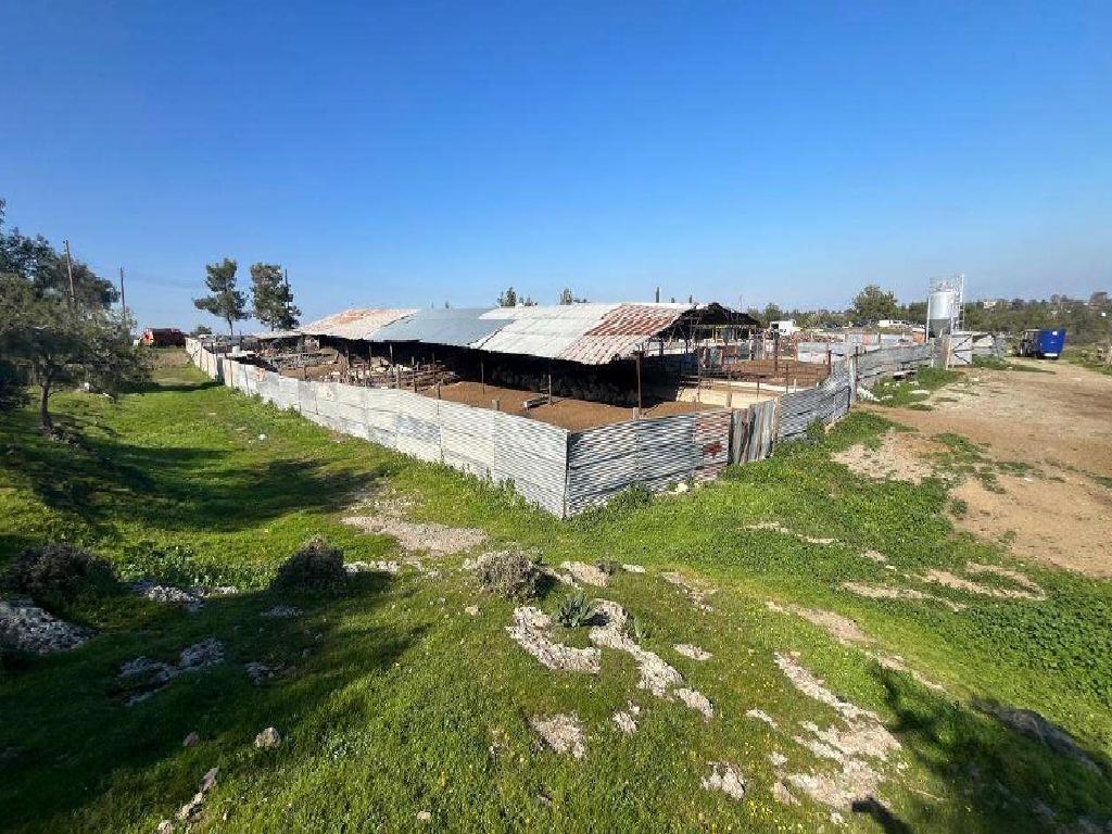 Field (Share) - Lythrodontas, Nicosia