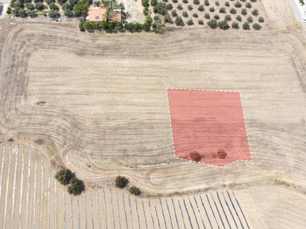 Field-Ergates-PR13587