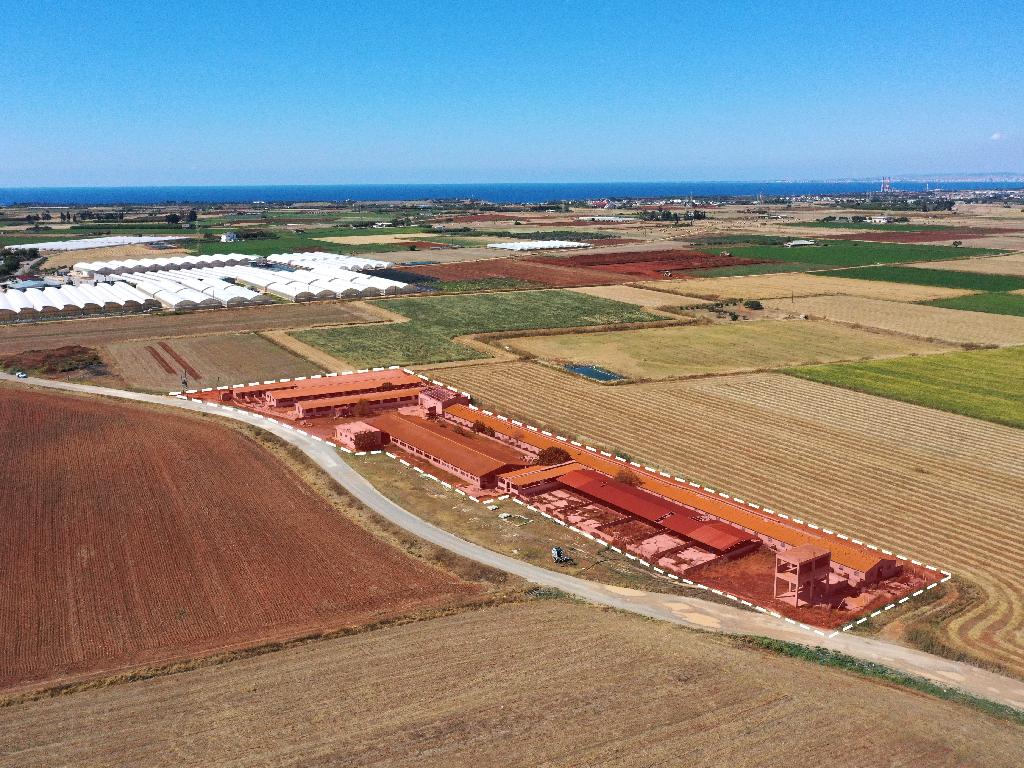 Farm - Ormideia, Larnaca