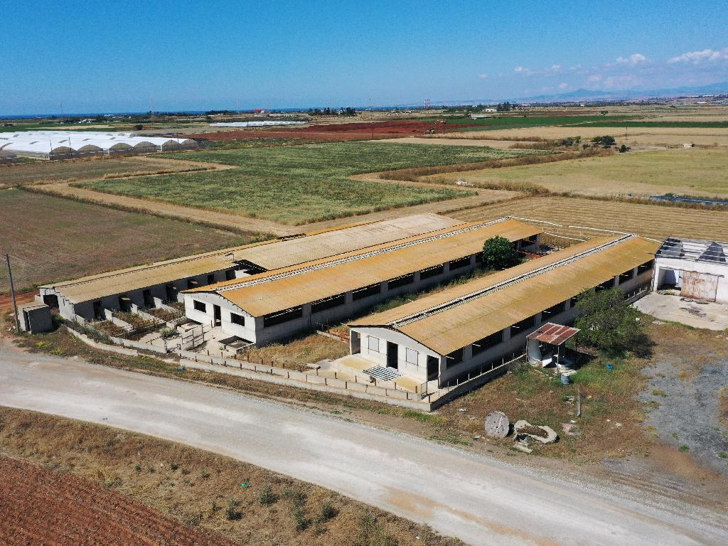Farm - Ormideia, Larnaca